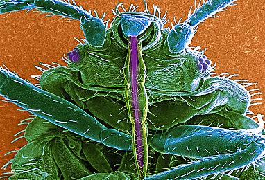 《克里夫·巴克猛鬼追魂：复苏》公布 新单人生存恐怖动作游戏